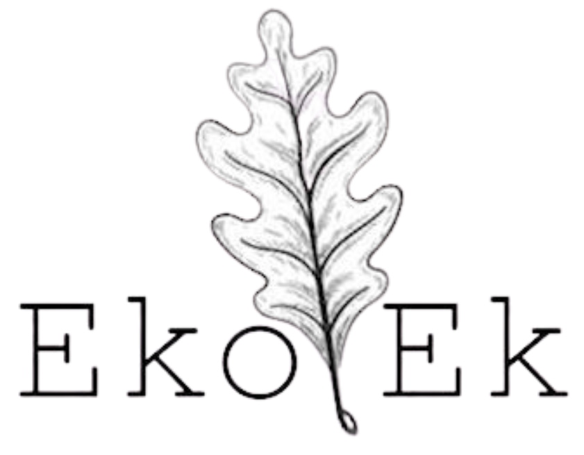Eko ek logo